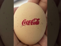 Chiều cao 1062 MM Máy in UV DTF Chiều rộng tối đa 620 MM Máy in phun mực kỹ thuật số